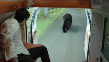 Cocaine Bear (2023 Movie) Hindi Dubbed (ORG DD 5.1) & English [Dual Audio] WEB-DL 4K-2160p / 1080p 720p 480p [HD]