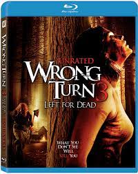 Wrong Turn 3 Left For Dead 2009 English 1080p / 720p / 480p BRRip ESubs