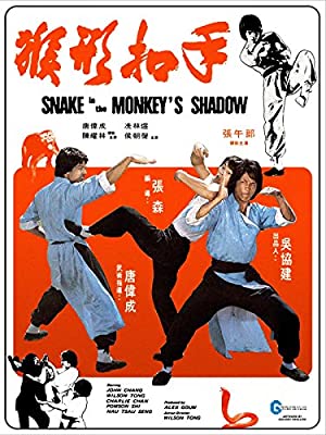 Snake In The Monkey’s Shadow 1979 Dual Audio 480p 300MB DVDRip [Hindi – English] – Torrent Direct Download